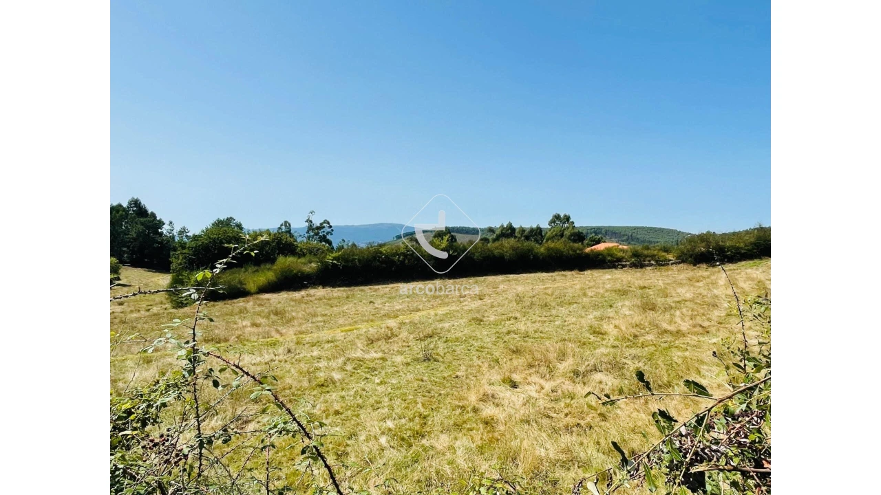 Terreno para Venda em Cunha Foto 7