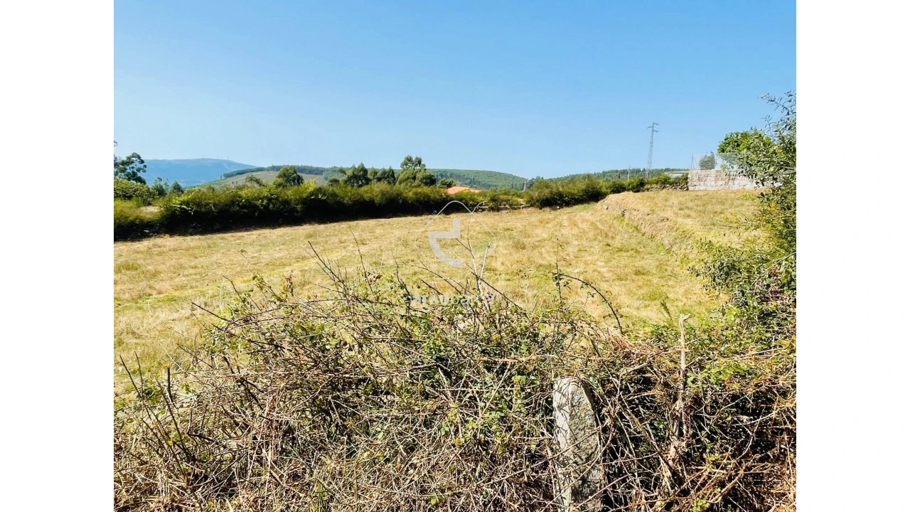 Terreno para Venda em Cunha Foto 8