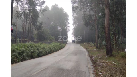 Terreno para Venda em Nogueira da Regedoura