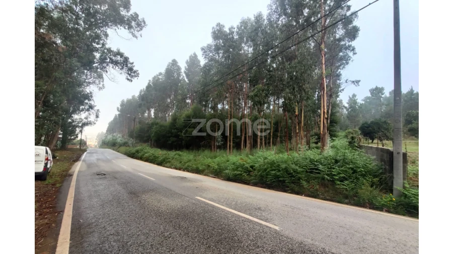 Terreno para Venda em Nogueira da Regedoura Foto 8