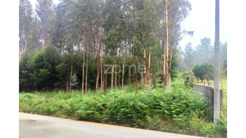 Terreno para Venda em Nogueira da Regedoura