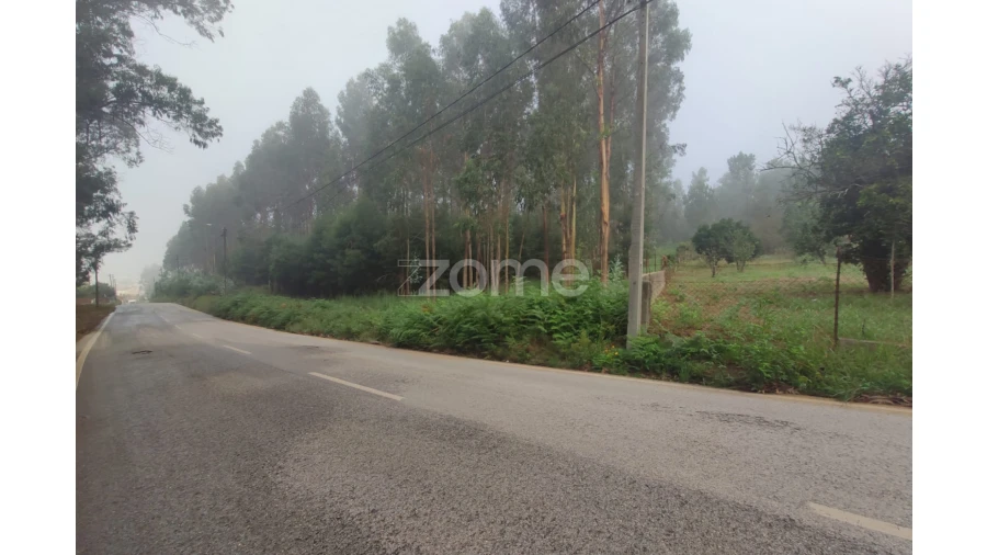 Terreno para Venda em Nogueira da Regedoura Foto 15
