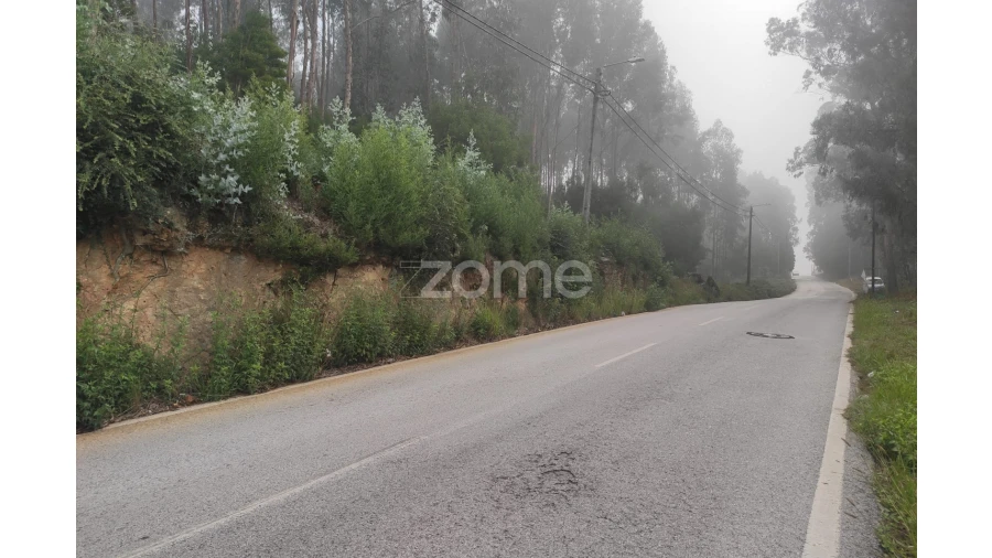 Terreno para Venda em Nogueira da Regedoura Foto 16