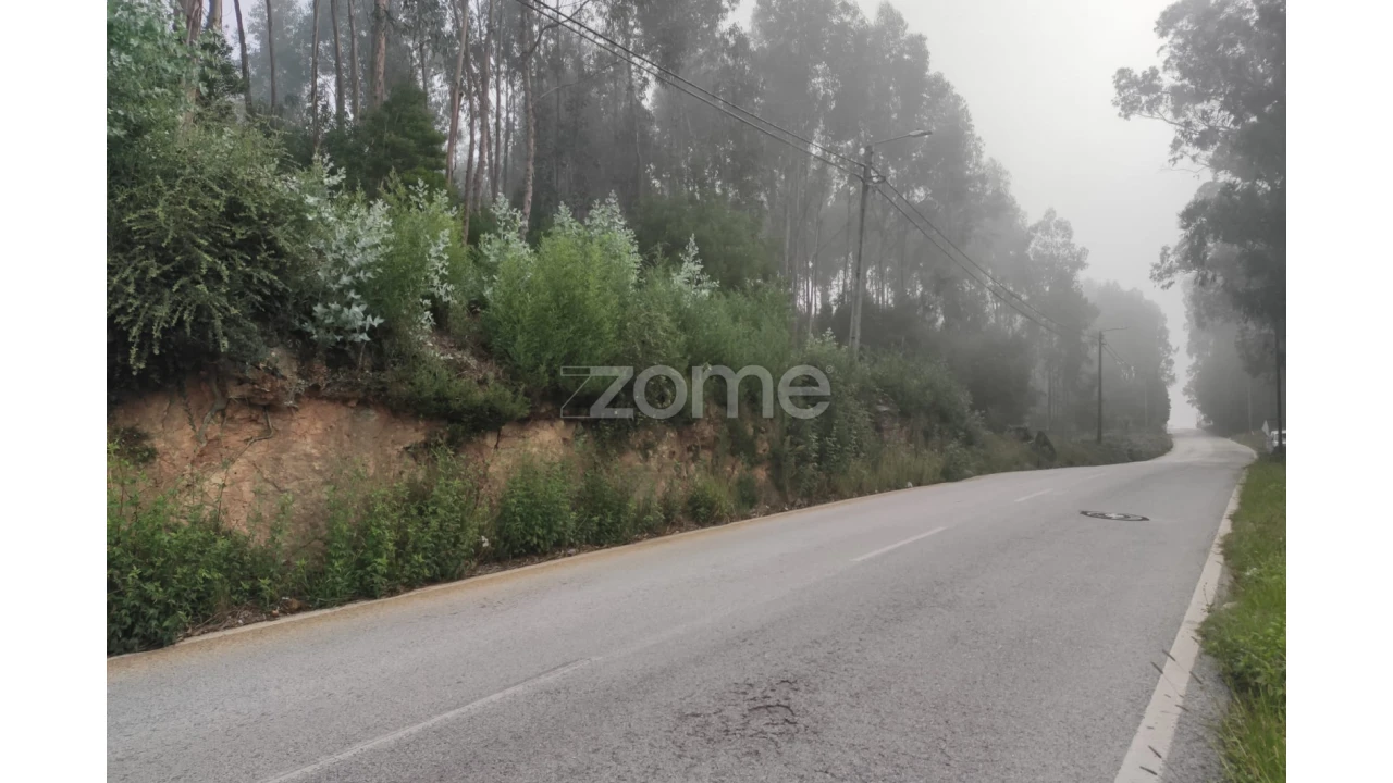 Terreno para Venda em Nogueira da Regedoura Foto 11