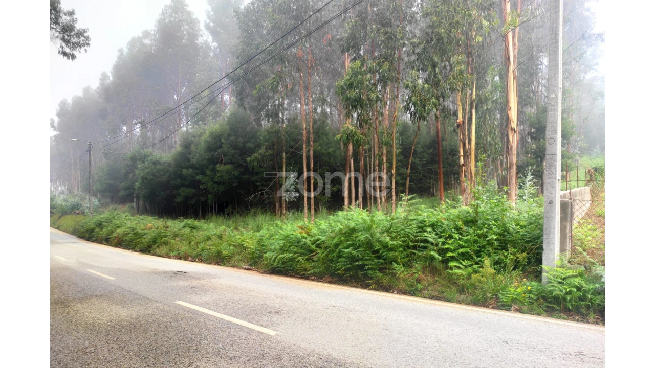 Terreno para Venda em Nogueira da Regedoura Foto 14