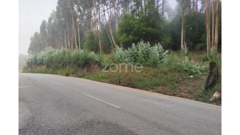 Terreno para Venda em Nogueira da Regedoura