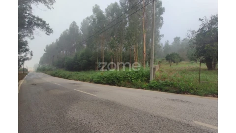 Terreno para Venda em Nogueira da Regedoura
