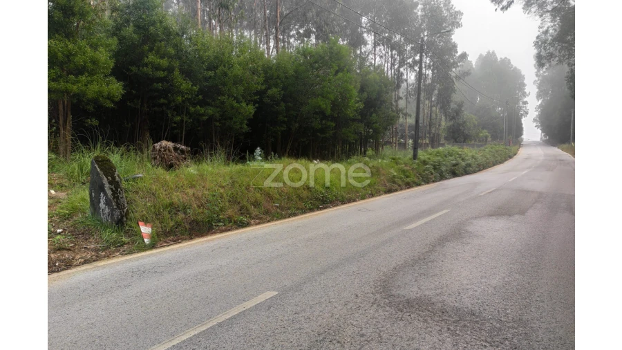 Terreno para Venda em Nogueira da Regedoura Foto 12