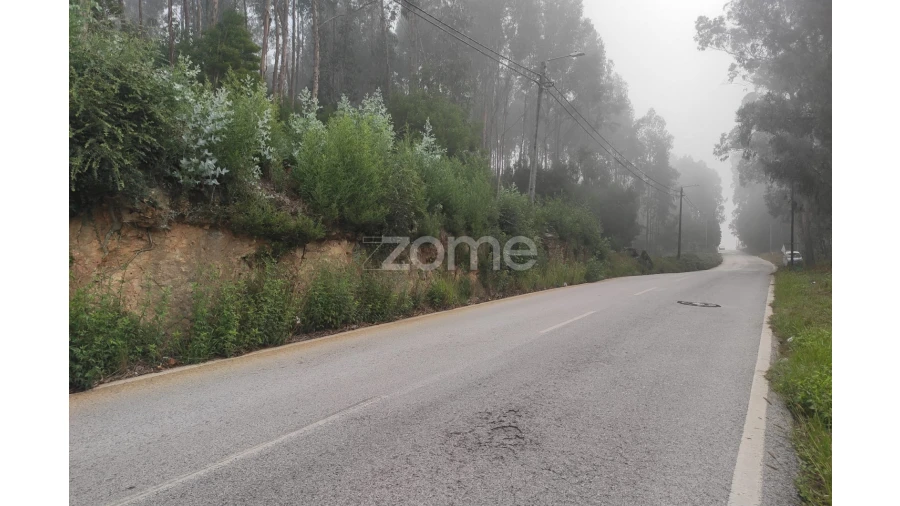 Terreno para Venda em Nogueira da Regedoura Foto 15
