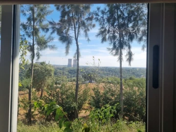 Quinta para Venda em Mouriscas