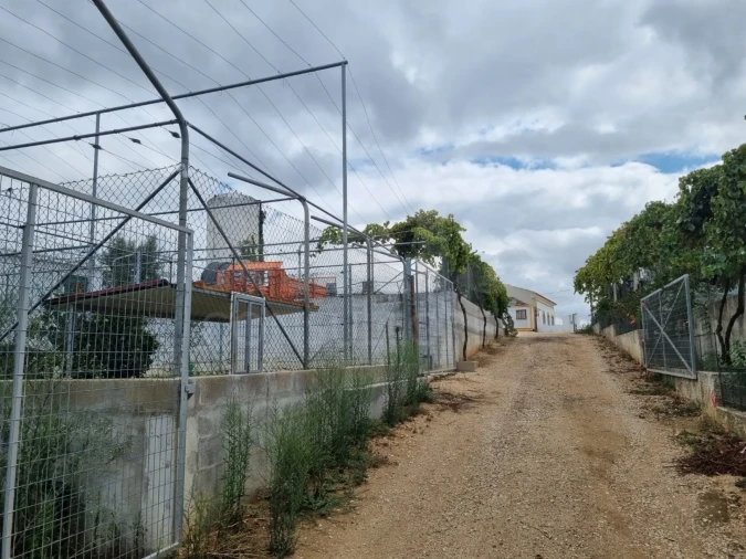 Quinta para Venda em Mouriscas Foto 3