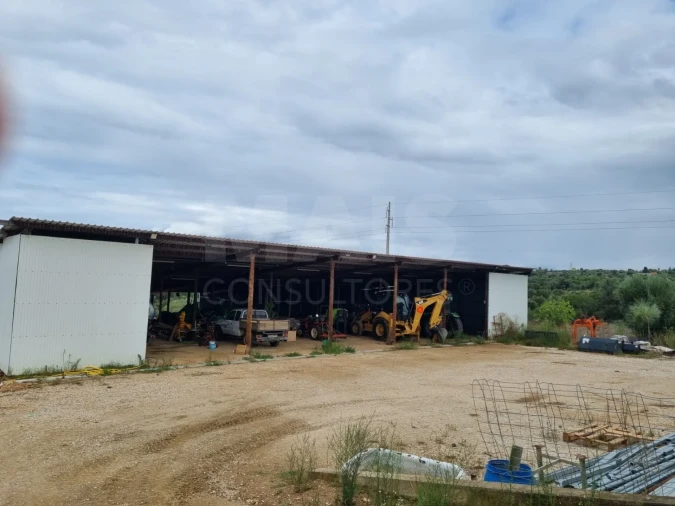 Quinta para Venda em Mouriscas Foto 12