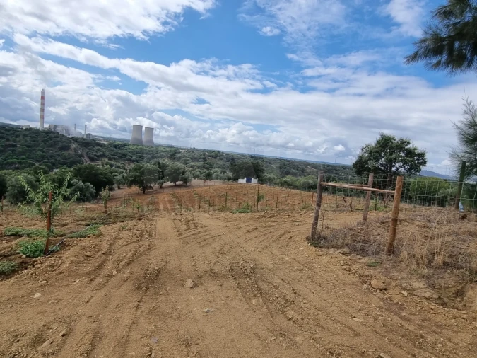Quinta para Venda em Mouriscas Foto 2