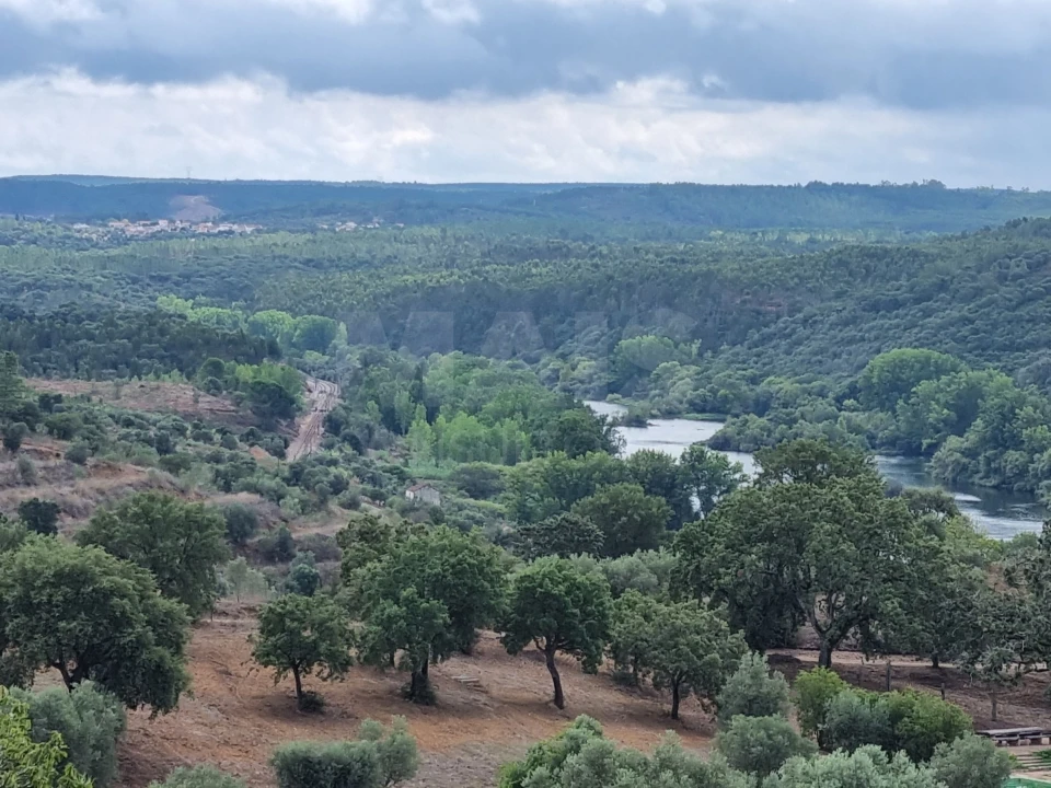 Quinta para Venda em Mouriscas Foto 1