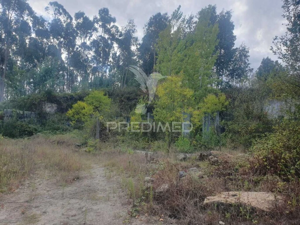 Terreno para Venda em Fafe Foto 1