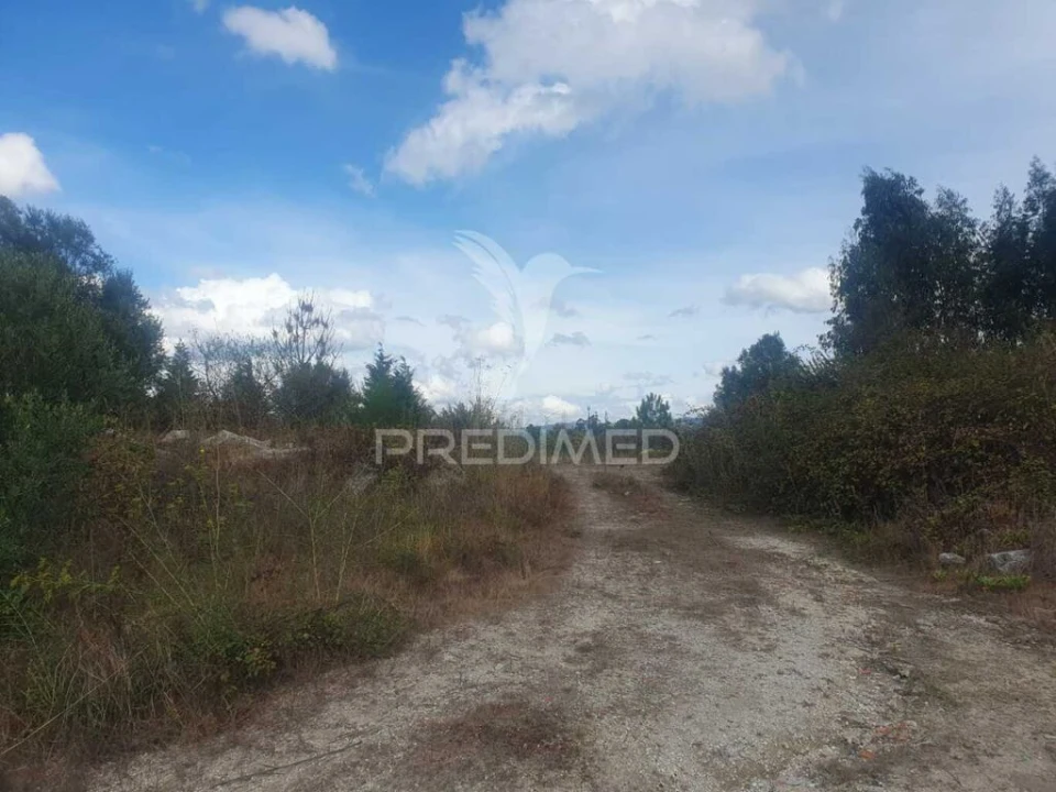 Terreno para Venda em Fafe Foto 4