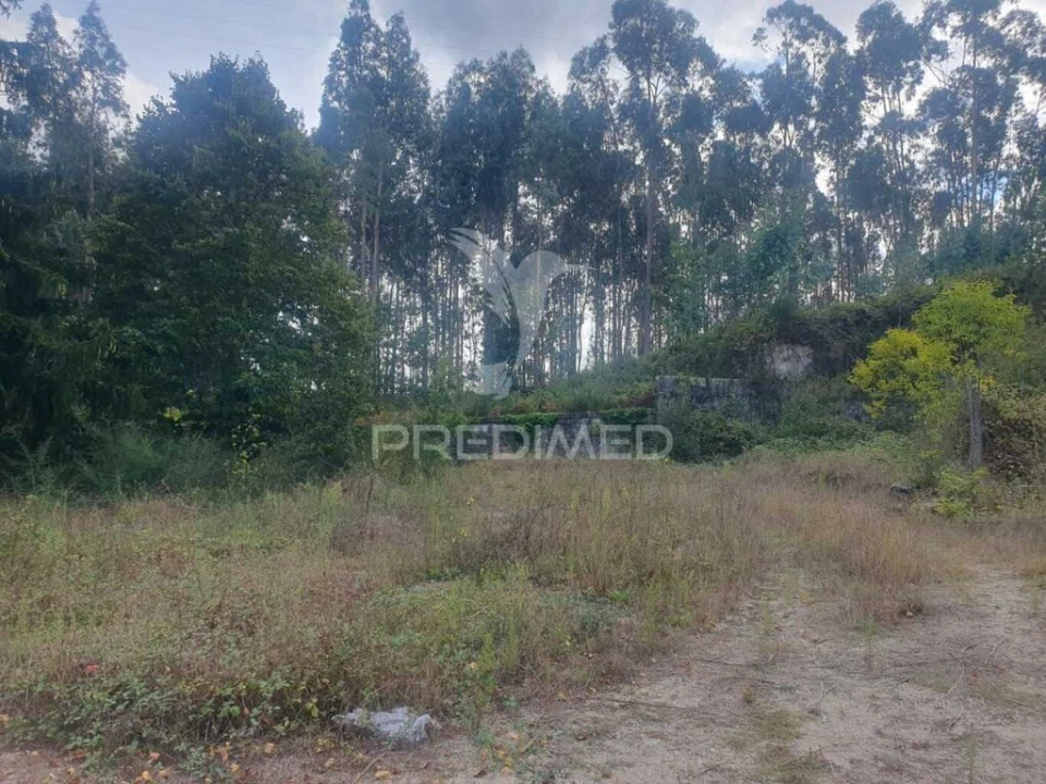 Terreno para Venda em Fafe Foto 2