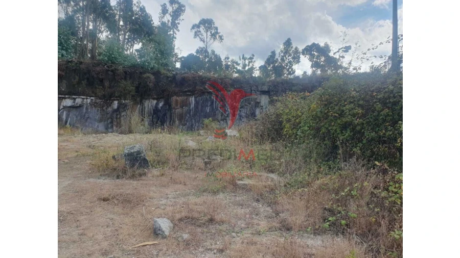 Terreno para Venda em Fafe Foto 6