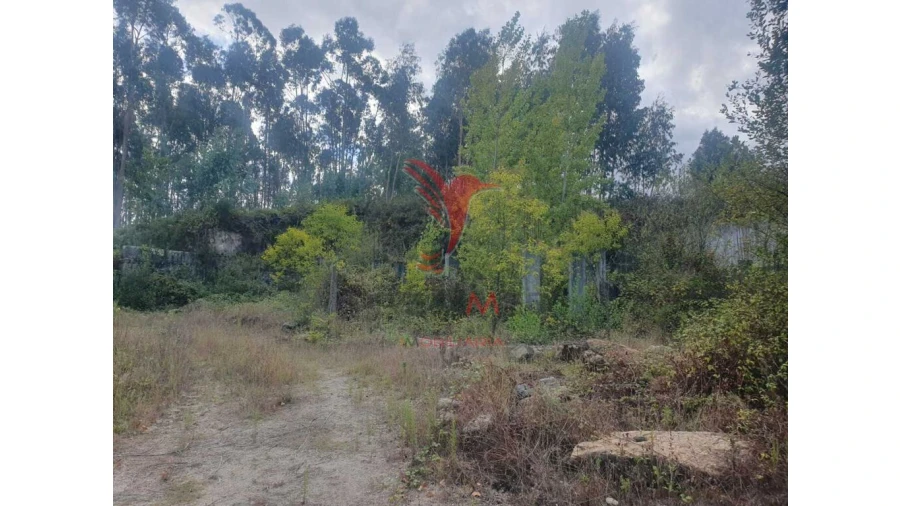 Terreno para Venda em Fafe