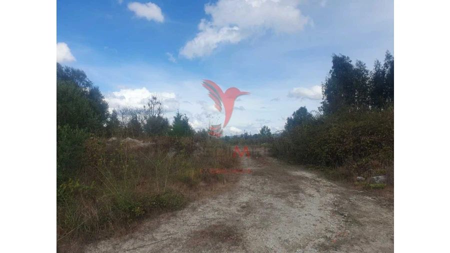 Terreno para Venda em Fafe Foto 4