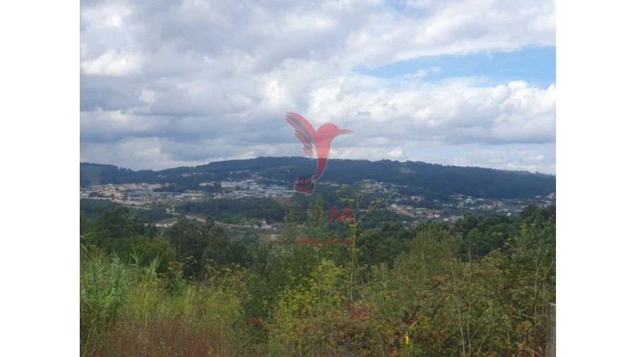 Terreno para Venda em Fafe Foto 14