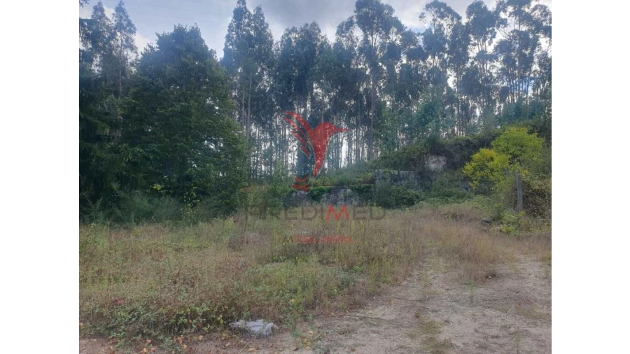 Terreno para Venda em Fafe Foto 2