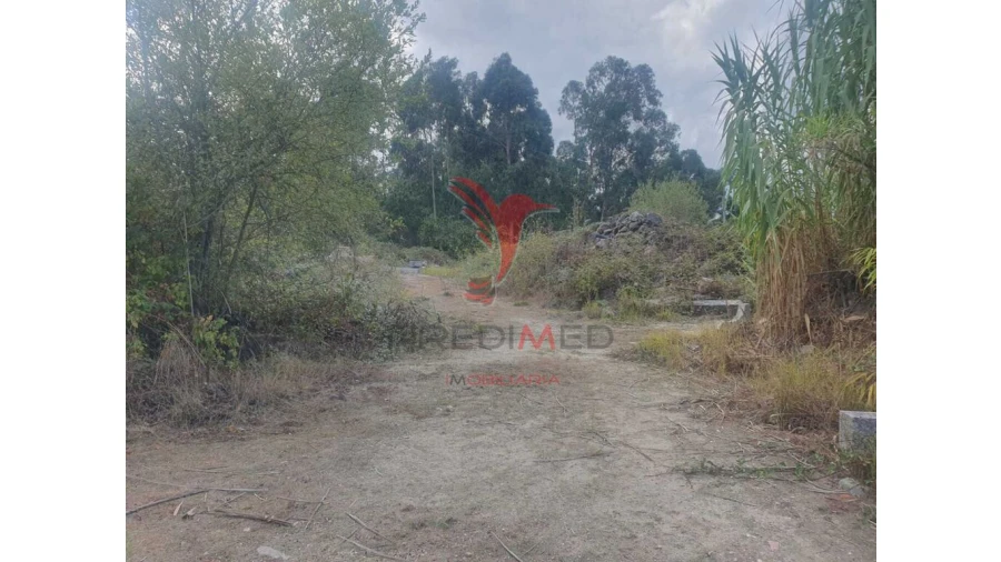 Terreno para Venda em Fafe Foto 5