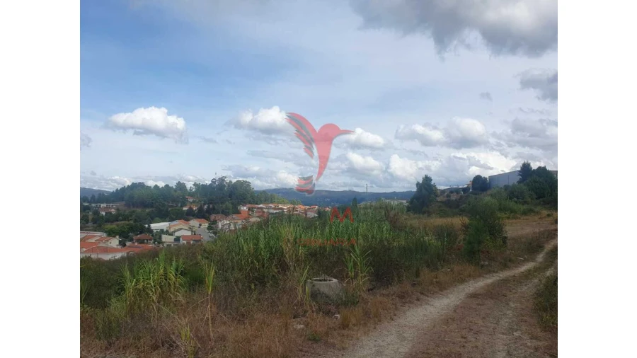 Terreno para Venda em Fafe Foto 13