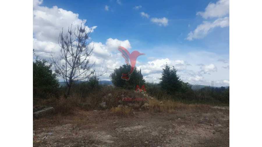 Terreno para Venda em Fafe Foto 11