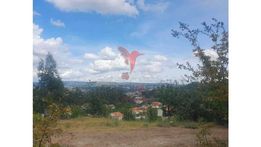 Terreno para Venda em Fafe Foto 15