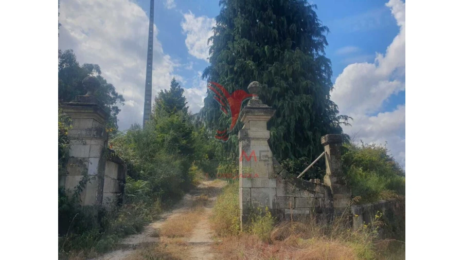 Terreno para Venda em Fafe Foto 3