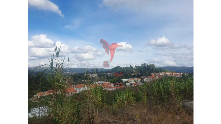Terreno para Venda em Fafe Foto 12