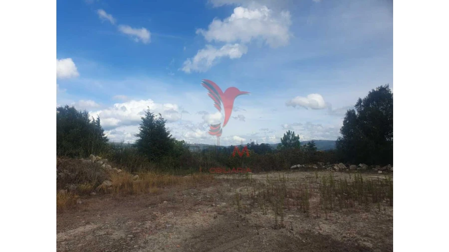 Terreno para Venda em Fafe Foto 8