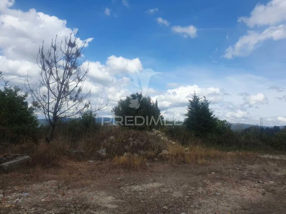 Terreno para Venda em Fafe Foto 11