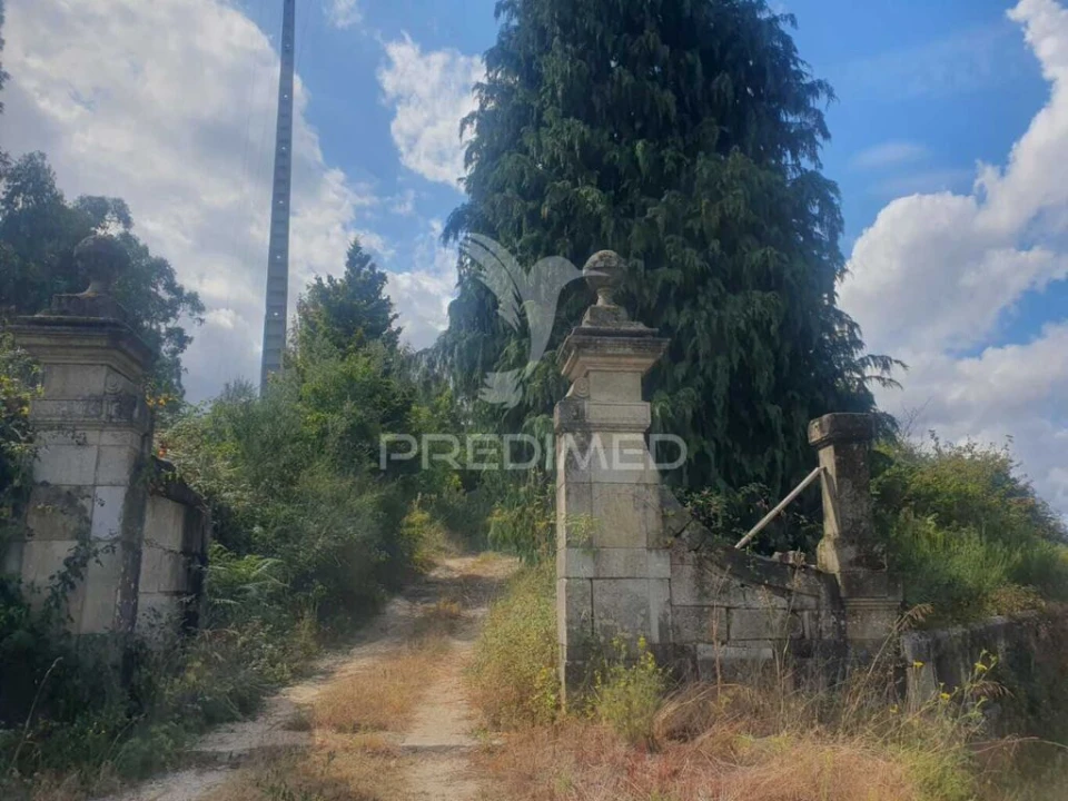Terreno para Venda em Fafe Foto 3
