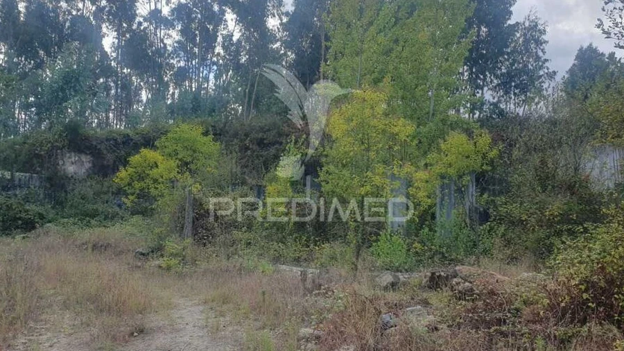 Terreno para Venda em Fafe