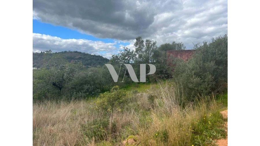 Terreno para Venda em Loule (São Clemente) Foto 2