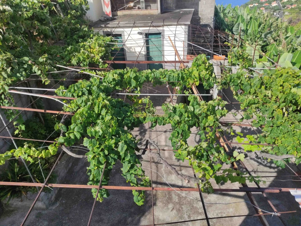 Moradia T3 para Venda em Ponta do Sol Foto 34