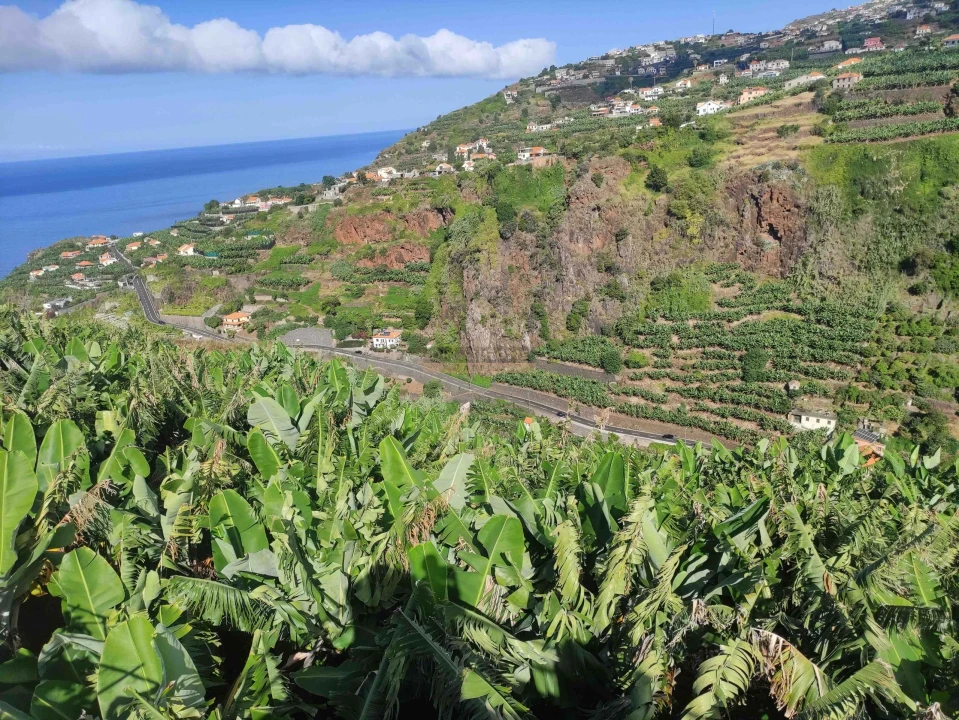 Moradia T3 para Venda em Ponta do Sol Foto 50