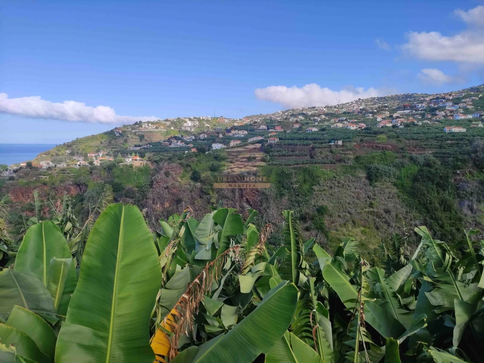 Moradia T3 para Venda em Ponta do Sol Foto 41