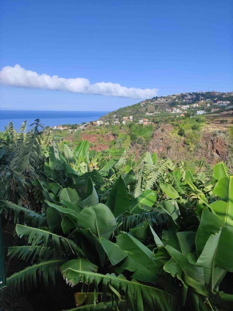 Moradia T3 para Venda em Ponta do Sol