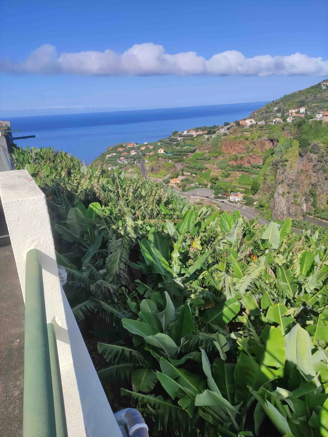 Moradia T3 para Venda em Ponta do Sol Foto 49