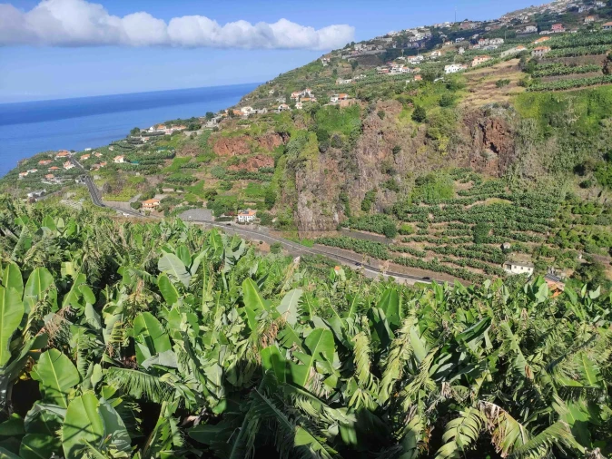 Moradia T3 para Venda em Ponta do Sol Foto 50