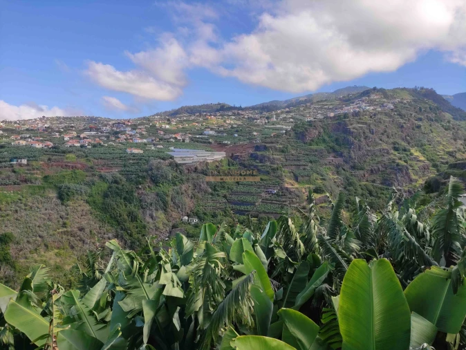 Moradia T3 para Venda em Ponta do Sol Foto 42