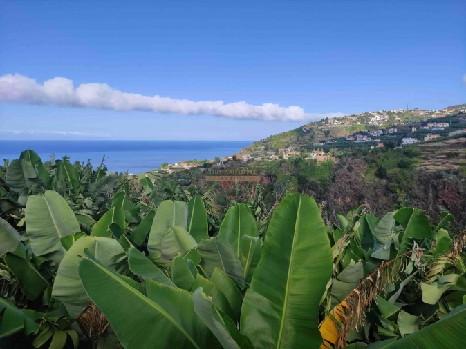 Moradia T3 para Venda em Ponta do Sol Foto 7