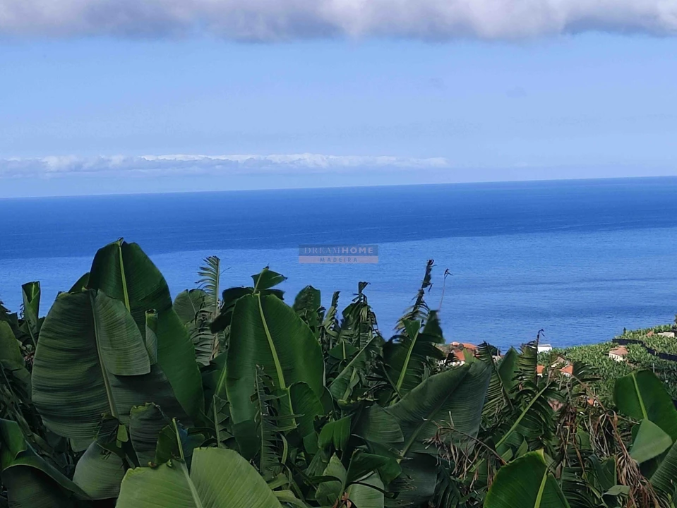 Moradia T3 para Venda em Ponta do Sol Foto 9