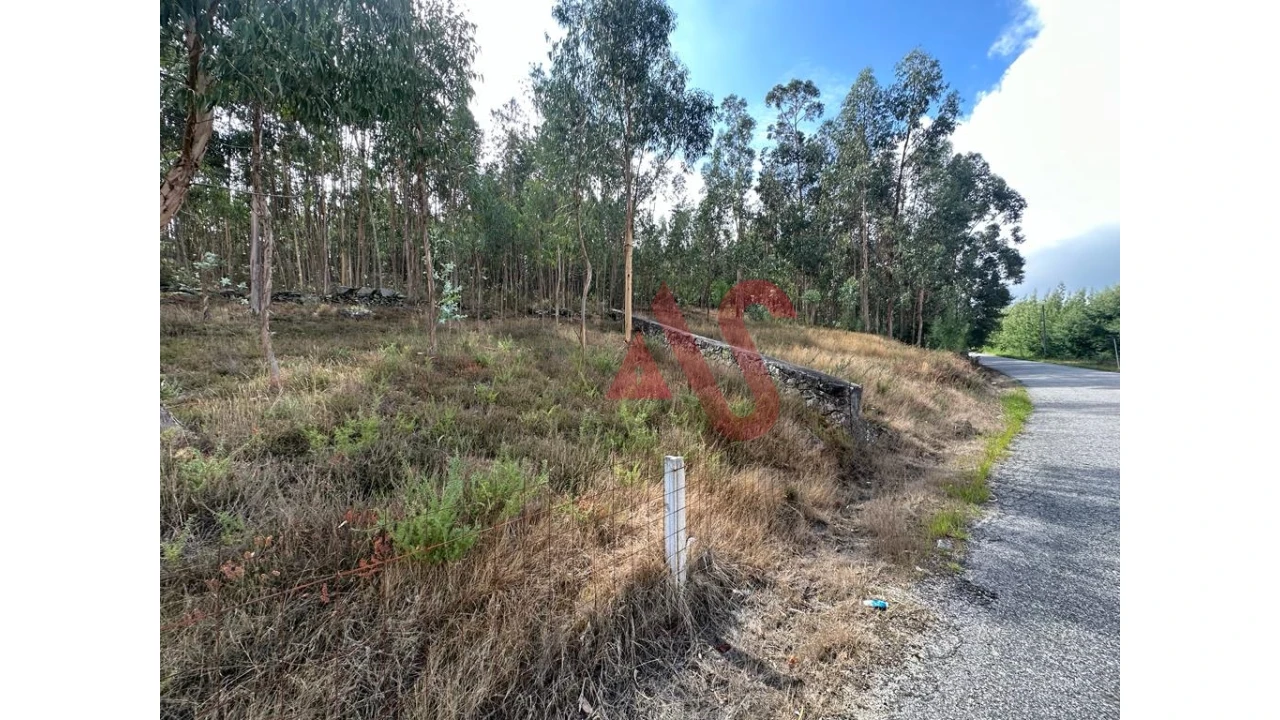 Terreno para Venda em Sande São Lourenço e Balazar Foto 3