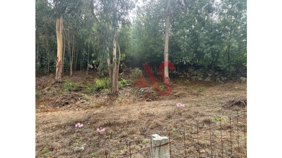 Terreno para Venda em Sande São Lourenço e Balazar Foto 12