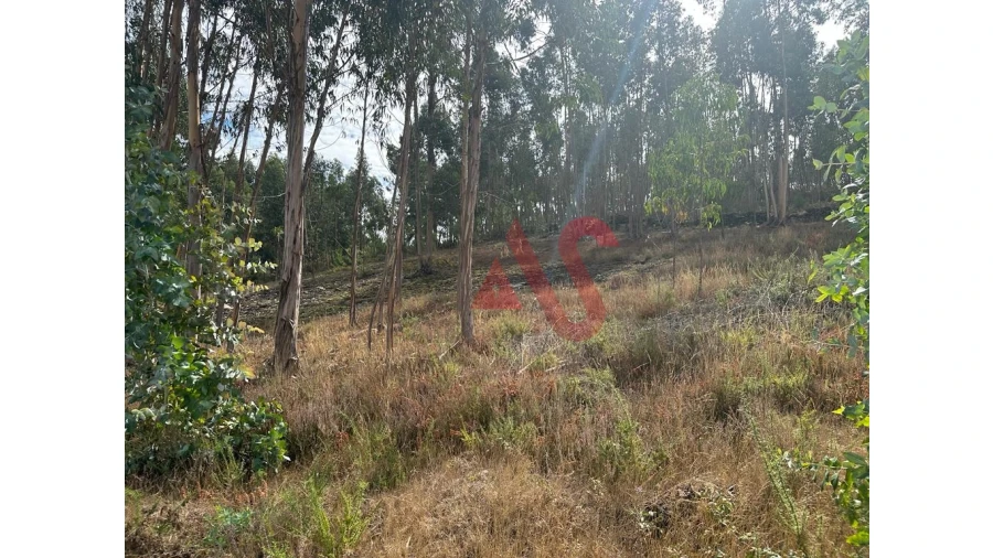 Terreno para Venda em Sande São Lourenço e Balazar Foto 10