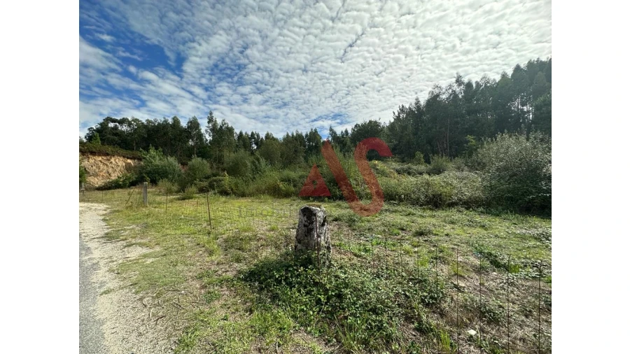 Terreno para Venda em Sande São Lourenço e Balazar Foto 8